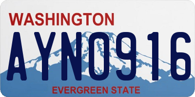 WA license plate AYN0916