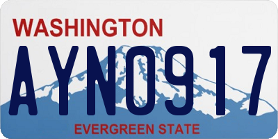 WA license plate AYN0917
