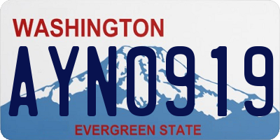 WA license plate AYN0919