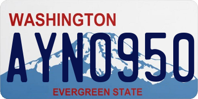 WA license plate AYN0950
