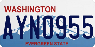 WA license plate AYN0955