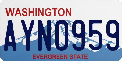 WA license plate AYN0959