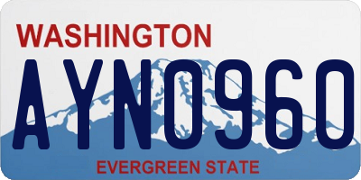 WA license plate AYN0960