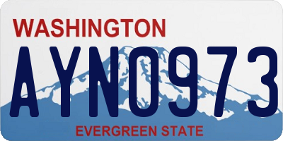 WA license plate AYN0973