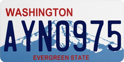 WA license plate AYN0975