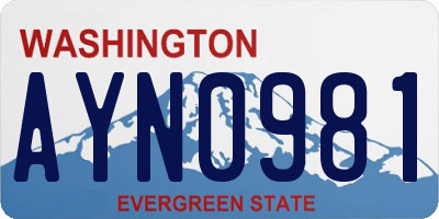 WA license plate AYN0981