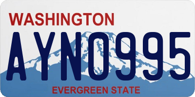 WA license plate AYN0995
