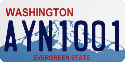 WA license plate AYN1001