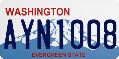 WA license plate AYN1008