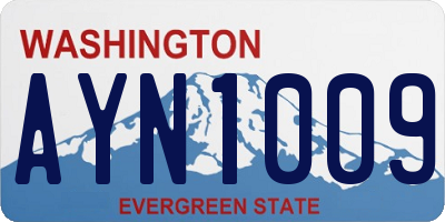 WA license plate AYN1009