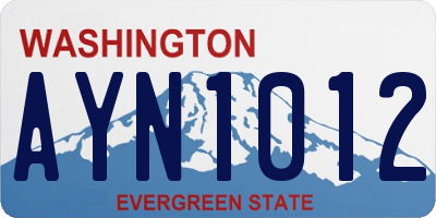WA license plate AYN1012