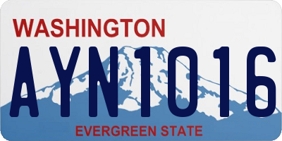 WA license plate AYN1016