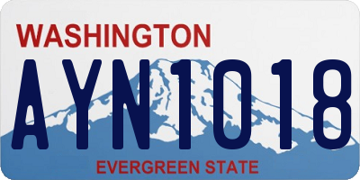 WA license plate AYN1018