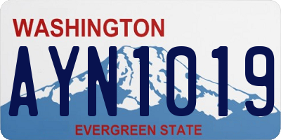 WA license plate AYN1019