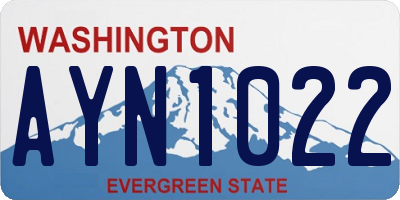 WA license plate AYN1022