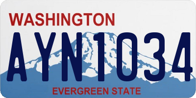 WA license plate AYN1034