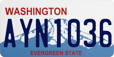 WA license plate AYN1036