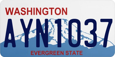 WA license plate AYN1037