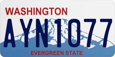 WA license plate AYN1077