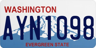 WA license plate AYN1098