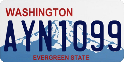 WA license plate AYN1099