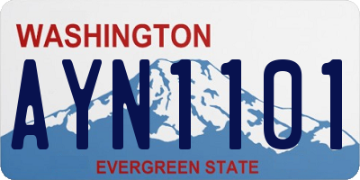 WA license plate AYN1101