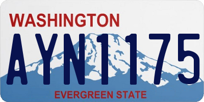 WA license plate AYN1175