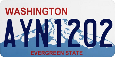 WA license plate AYN1202