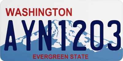WA license plate AYN1203