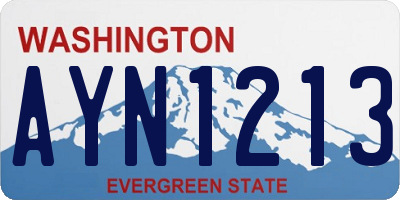 WA license plate AYN1213