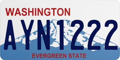 WA license plate AYN1222