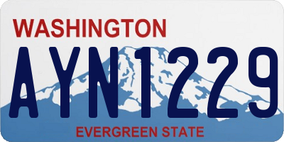 WA license plate AYN1229