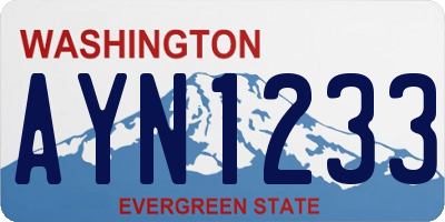 WA license plate AYN1233