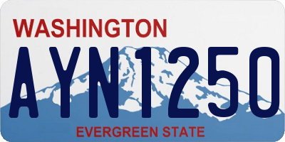 WA license plate AYN1250