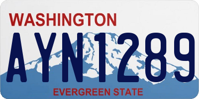 WA license plate AYN1289
