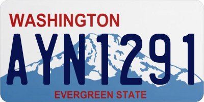 WA license plate AYN1291