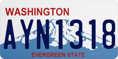 WA license plate AYN1318