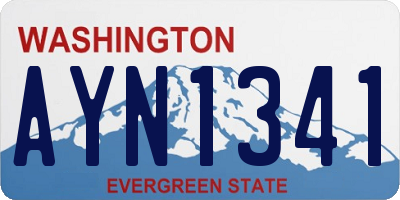 WA license plate AYN1341
