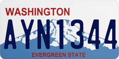 WA license plate AYN1344