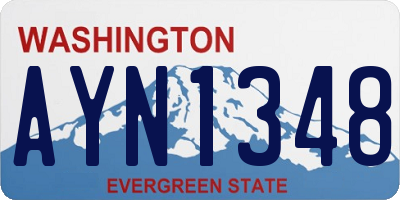 WA license plate AYN1348
