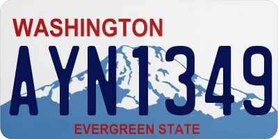 WA license plate AYN1349