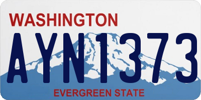 WA license plate AYN1373