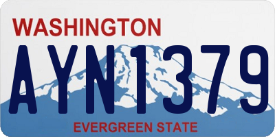 WA license plate AYN1379