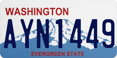 WA license plate AYN1449