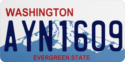 WA license plate AYN1609