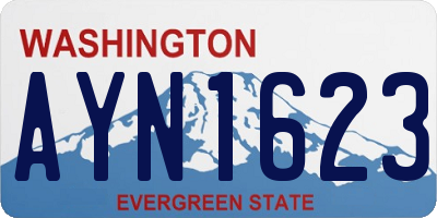 WA license plate AYN1623