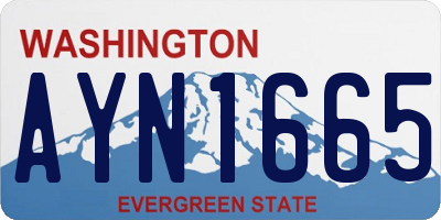 WA license plate AYN1665