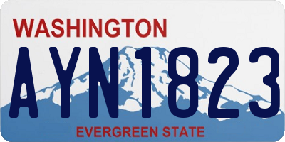 WA license plate AYN1823