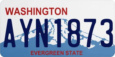 WA license plate AYN1873