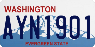 WA license plate AYN1901